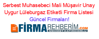 Serbest+Muhasebeci+Mali+Müşavir+Unay+Uygur+Lüleburgaz+Etiketli+Firma+Listesi Güncel+Firmaları!