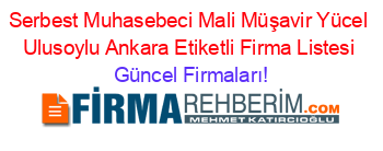 Serbest+Muhasebeci+Mali+Müşavir+Yücel+Ulusoylu+Ankara+Etiketli+Firma+Listesi Güncel+Firmaları!