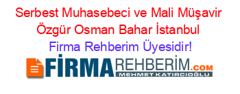 Serbest+Muhasebeci+ve+Mali+Müşavir+Özgür+Osman+Bahar+İstanbul Firma+Rehberim+Üyesidir!