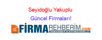 Seyidoğlu+Yakuplu+ Güncel+Firmaları!