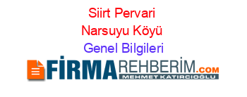 Siirt+Pervari+Narsuyu+Köyü Genel+Bilgileri