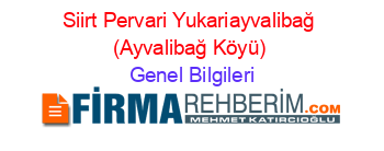 Siirt+Pervari+Yukariayvalibağ+(Ayvalibağ+Köyü) Genel+Bilgileri