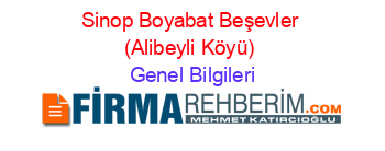 Sinop+Boyabat+Beşevler+(Alibeyli+Köyü) Genel+Bilgileri