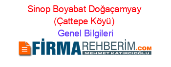 Sinop+Boyabat+Doğaçamyay+(Çattepe+Köyü) Genel+Bilgileri