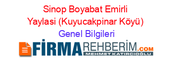 Sinop+Boyabat+Emirli+Yaylasi+(Kuyucakpinar+Köyü) Genel+Bilgileri