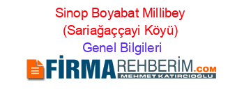 Sinop+Boyabat+Millibey+(Sariağaççayi+Köyü) Genel+Bilgileri