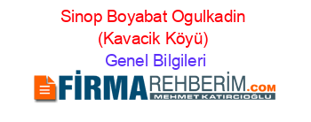 Sinop+Boyabat+Ogulkadin+(Kavacik+Köyü) Genel+Bilgileri