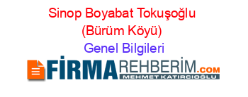 Sinop+Boyabat+Tokuşoğlu+(Bürüm+Köyü) Genel+Bilgileri