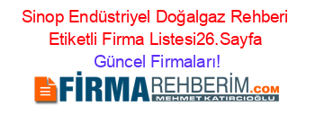 Sinop+Endüstriyel+Doğalgaz+Rehberi+Etiketli+Firma+Listesi26.Sayfa Güncel+Firmaları!