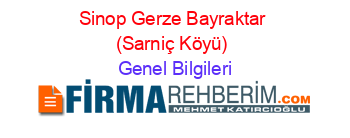 Sinop+Gerze+Bayraktar+(Sarniç+Köyü) Genel+Bilgileri