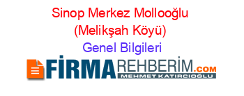 Sinop+Merkez+Mollooğlu+(Melikşah+Köyü) Genel+Bilgileri