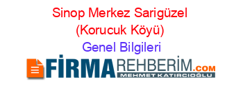 Sinop+Merkez+Sarigüzel+(Korucuk+Köyü) Genel+Bilgileri