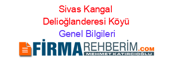 Sivas+Kangal+Delioğlanderesi+Köyü Genel+Bilgileri