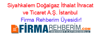 Siyahkalem+Doğalgaz+İthalat+İhracat+ve+Ticaret+A.Ş.+İstanbul Firma+Rehberim+Üyesidir!