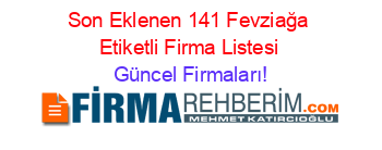 Son+Eklenen+141+Fevziağa+Etiketli+Firma+Listesi Güncel+Firmaları!