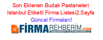 Son+Eklenen+Budak+Pastaneleri+Istanbul+Etiketli+Firma+Listesi2.Sayfa Güncel+Firmaları!