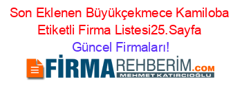 Son+Eklenen+Büyükçekmece+Kamiloba+Etiketli+Firma+Listesi25.Sayfa Güncel+Firmaları!