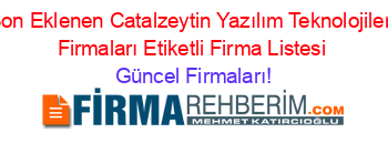 Son+Eklenen+Catalzeytin+Yazılım+Teknolojileri+Firmaları+Etiketli+Firma+Listesi Güncel+Firmaları!