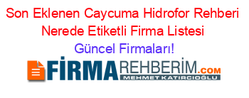 Son+Eklenen+Caycuma+Hidrofor+Rehberi+Nerede+Etiketli+Firma+Listesi Güncel+Firmaları!