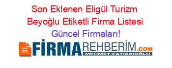 Son+Eklenen+Eligül+Turizm+Beyoğlu+Etiketli+Firma+Listesi Güncel+Firmaları!