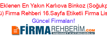 Son+Eklenen+En+Yakın+Karlıova+Binkoz+(Soğukpinar+Köyü)+Firma+Rehberi+16.Sayfa+Etiketli+Firma+Listesi Güncel+Firmaları!