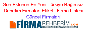 Son+Eklenen+En+Yeni+Türkiye+Bağımsız+Denetim+Firmaları+Etiketli+Firma+Listesi Güncel+Firmaları!