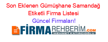 Son+Eklenen+Gümüşhane+Samandağ+Etiketli+Firma+Listesi Güncel+Firmaları!