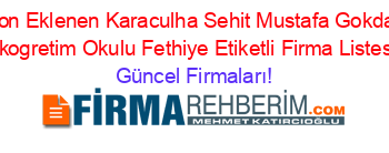 Son+Eklenen+Karaculha+Sehit+Mustafa+Gokdal+Ilkogretim+Okulu+Fethiye+Etiketli+Firma+Listesi Güncel+Firmaları!