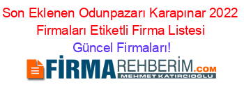 Son+Eklenen+Odunpazarı+Karapınar+2022+Firmaları+Etiketli+Firma+Listesi Güncel+Firmaları!