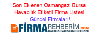 Son+Eklenen+Osmangazi+Bursa+Havacılık+Etiketli+Firma+Listesi Güncel+Firmaları!