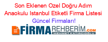 Son+Eklenen+Ozel+Doğru+Adım+Anaokulu+Istanbul+Etiketli+Firma+Listesi Güncel+Firmaları!