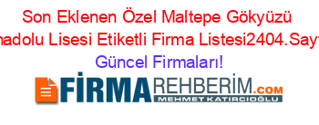 Son+Eklenen+Özel+Maltepe+Gökyüzü+Anadolu+Lisesi+Etiketli+Firma+Listesi2404.Sayfa Güncel+Firmaları!
