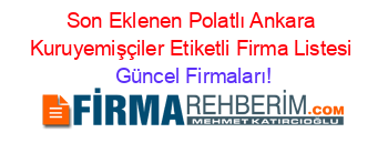 Son+Eklenen+Polatlı+Ankara+Kuruyemişçiler+Etiketli+Firma+Listesi Güncel+Firmaları!