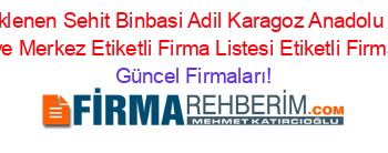 Son+Eklenen+Sehit+Binbasi+Adil+Karagoz+Anadolu+Lisesi+Osmaniye+Merkez+Etiketli+Firma+Listesi+Etiketli+Firma+Listesi Güncel+Firmaları!