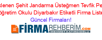 Son+Eklenen+Şehit+Jandarma+Üsteğmen+Tevfik+Pehlivan+İlköğretim+Okulu+Diyarbakır+Etiketli+Firma+Listesi Güncel+Firmaları!