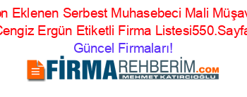 Son+Eklenen+Serbest+Muhasebeci+Mali+Müşavir+Cengiz+Ergün+Etiketli+Firma+Listesi550.Sayfa Güncel+Firmaları!