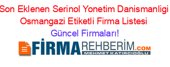 Son+Eklenen+Serinol+Yonetim+Danismanligi+Osmangazi+Etiketli+Firma+Listesi Güncel+Firmaları!