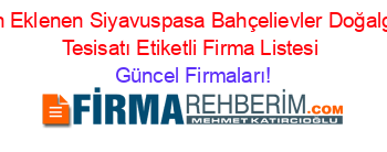 Son+Eklenen+Siyavuspasa+Bahçelievler+Doğalgaz+Tesisatı+Etiketli+Firma+Listesi Güncel+Firmaları!