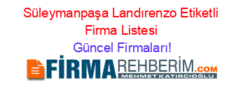 Süleymanpaşa+Landırenzo+Etiketli+Firma+Listesi Güncel+Firmaları!