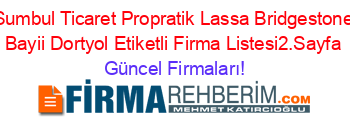 Sumbul+Ticaret+Propratik+Lassa+Bridgestone+Bayii+Dortyol+Etiketli+Firma+Listesi2.Sayfa Güncel+Firmaları!