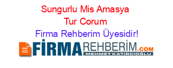 Sungurlu+Mis+Amasya+Tur+Corum Firma+Rehberim+Üyesidir!