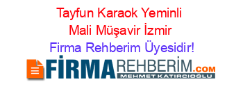 Tayfun+Karaok+Yeminli+Mali+Müşavir+İzmir Firma+Rehberim+Üyesidir!