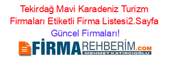 Tekirdağ+Mavi+Karadeniz+Turizm+Firmaları+Etiketli+Firma+Listesi2.Sayfa Güncel+Firmaları!