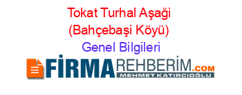 Tokat+Turhal+Aşaği+(Bahçebaşi+Köyü) Genel+Bilgileri
