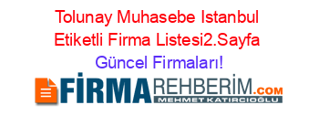 Tolunay+Muhasebe+Istanbul+Etiketli+Firma+Listesi2.Sayfa Güncel+Firmaları!