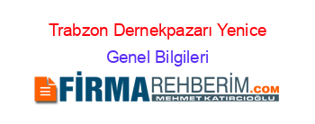 Trabzon+Dernekpazarı+Yenice Genel+Bilgileri