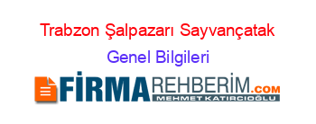 Trabzon+Şalpazarı+Sayvançatak Genel+Bilgileri