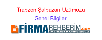 Trabzon+Şalpazarı+Üzümözü Genel+Bilgileri