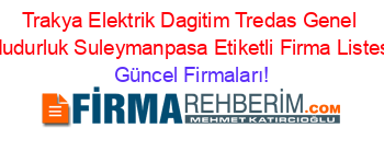 Trakya+Elektrik+Dagitim+Tredas+Genel+Mudurluk+Suleymanpasa+Etiketli+Firma+Listesi Güncel+Firmaları!