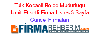 Tuik+Kocaeli+Bolge+Mudurlugu+Izmit+Etiketli+Firma+Listesi3.Sayfa Güncel+Firmaları!